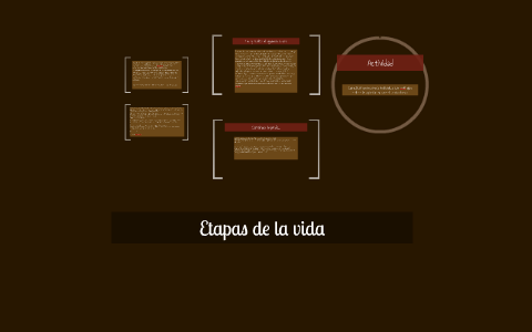 Etapas de la vida by Andrea Claudia Solis on Prezi