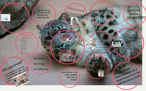 YooHoo Alisha Snow Leopard 5In 61108 White