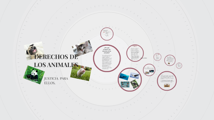 DERECHOS DE LOS ANIMALES by Cristina Garcia Caudillo on Prezi