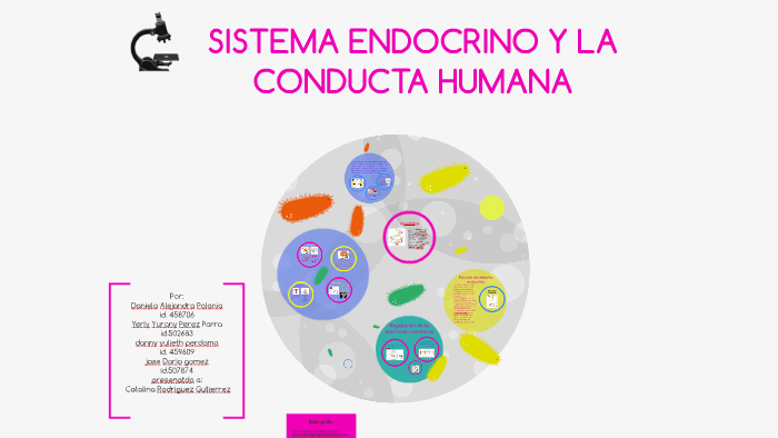 SISTEMA ENDOCRINO Y LA CONDUCTA HUMANA by danny perdomo on Prezi