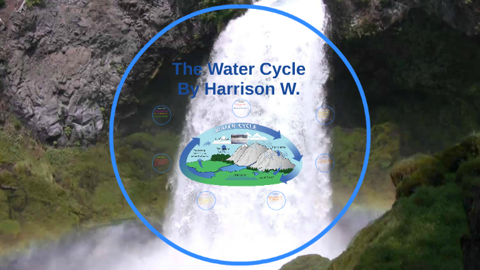 The Water Cycle by Harrison Wilkins on Prezi