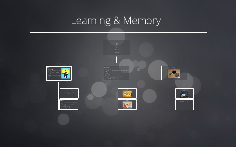 Learning & Memory by Ashley Kyles on Prezi