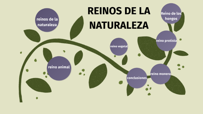 reinos de la naturaleza by Paola Sua on Prezi