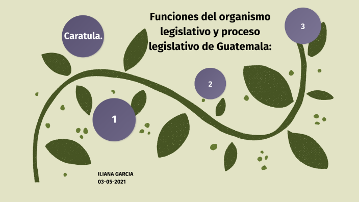 Funciones Del Organismo Legislativo Y Proceso Legislativo De Guatemala By Ili Garcia On Prezi