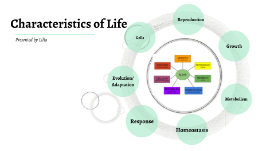 7 Characteristics Of Life By Lilia Ingle