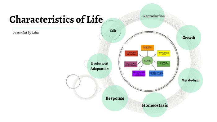 7 Characteristics Of Life By Lilia Ingle