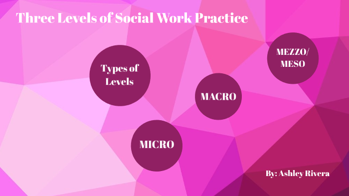 three-levels-of-social-work-practice-by-rivera-ashley