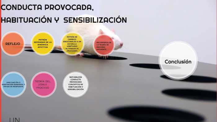 mapa mental by Andres jimenez on Prezi