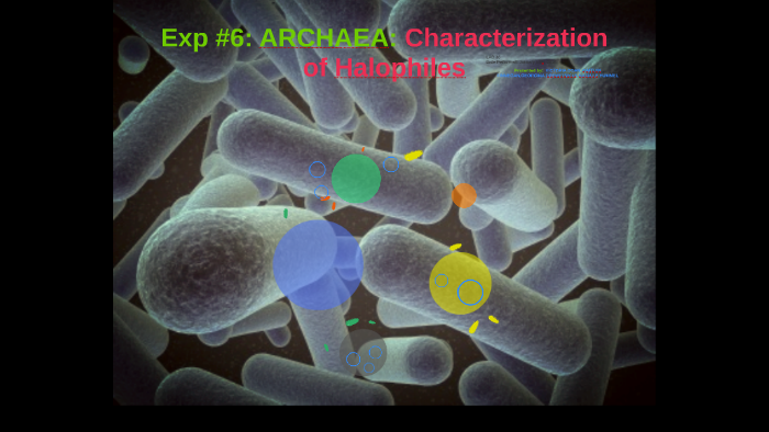 From Methanogens To Halophiles A Guide To Archaea Nutrition - yvmq51u