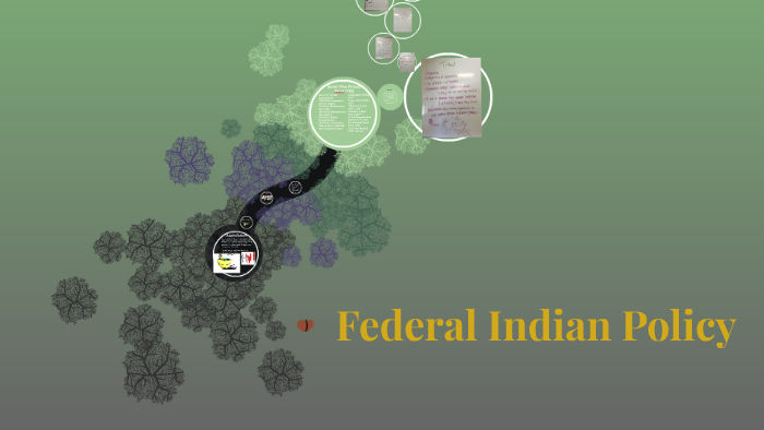 federal-indian-policy-by-abbie-bandstra