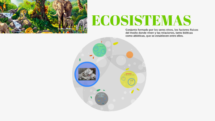 PARTES DE UN ECOSISTEMA by Mariano Cano