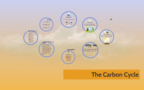 The Carbon Cycle by Olivia Bernard on Prezi