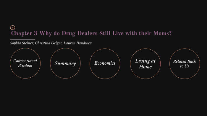 Chapter 3 Why do Drug Dealers Still Live with Their Moms? by Sophia ...