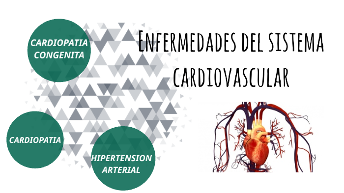 Enfermedades Del Sistema Cardiovascular By Andrea Ramirez Echeverry