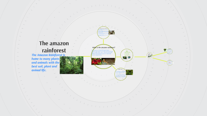 The amazon rainforest by ella biddle on Prezi