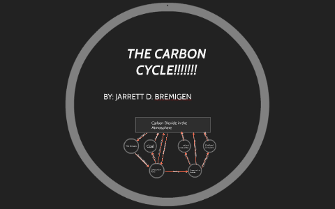 THE CARBON CYCLE!!!!!!! by Jarrett B. on Prezi