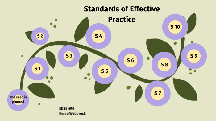 Effective Standard Standards of Effective Practice by Kyree Wobbrock on Prezi