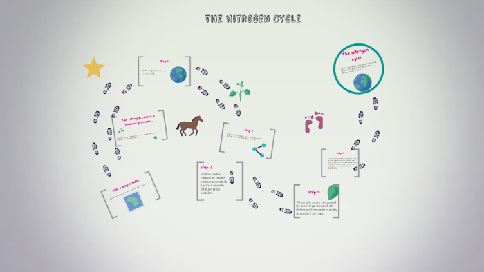 The Nitrogen Cycle by Trish Awad on Prezi