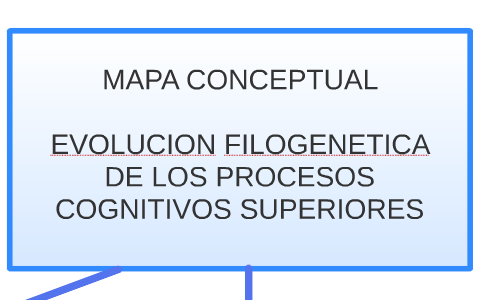 mapa conceptual by Anamaria Gonzalez