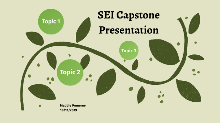 SEI Capstone Presentation by Maddie Pomeroy on Prezi