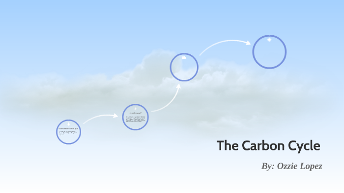 The Carbon Cycle by ozzie lopez on Prezi