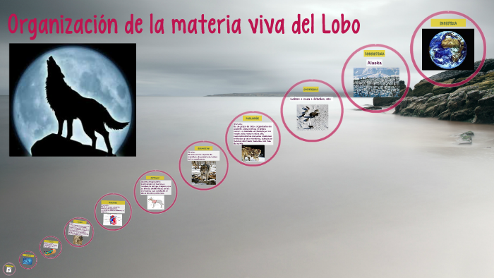 Organización de la materia viva del Lobo by Jennifer Ruiz Hernandez