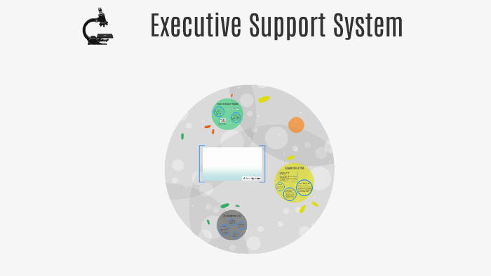 What Is Executive Support System