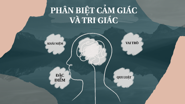 Phân biệt cảm giác và tri giác by Lưu Thị Thùy Dương on Prezi