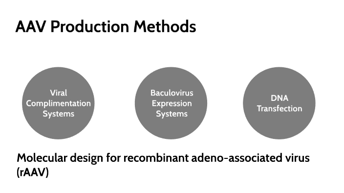 AAV upstream by Matthew Pontrelli on Prezi