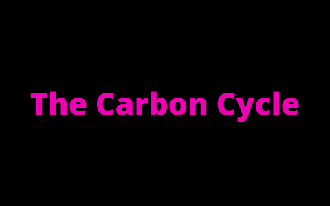 The Carbon Cycle by Kelsey Phillips on Prezi