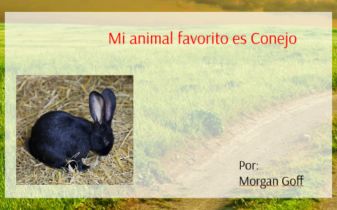 Mi Animal Favorito Es Conejo By Morgan Goff