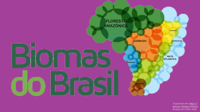 Biomas do Brasil por Luiza Azanha - nº20 - 2ºA by Luiza Azanha Camargo ...