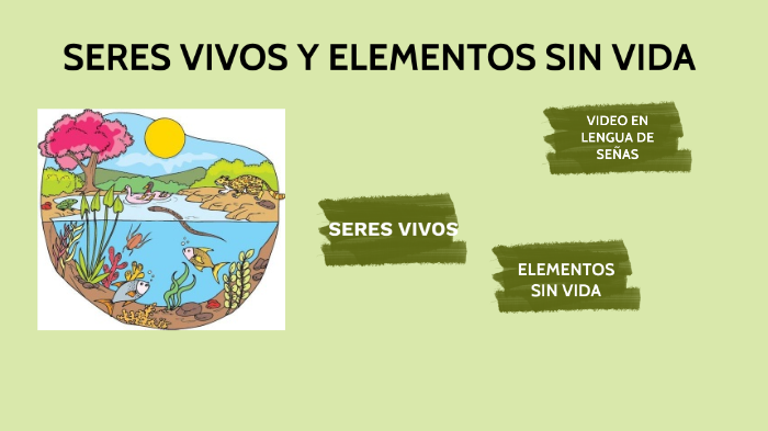 LOS SERES VIVOS Y ELEMENTOS SIN VIDA by Vanina Basaldua on Prezi