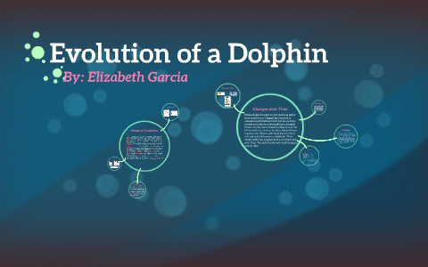 Evolution of a Dolphin by Elizabeth Garcia on Prezi