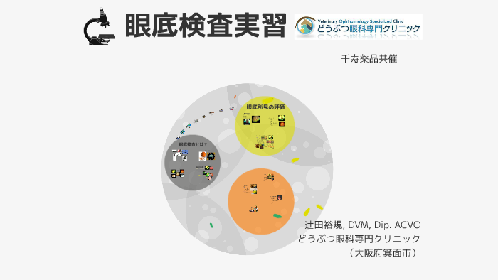 眼底検査実習 by 裕規 辻田 on Prezi