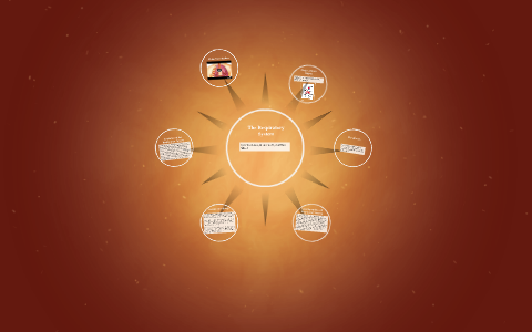 The Respiratory System by James Smith on Prezi