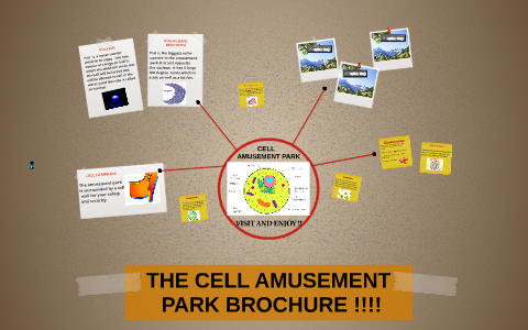visiting the cell travel brochure