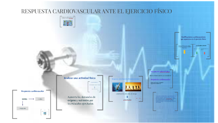 Respuestas Cardiovasculares Al Ejercicio Físico By Guiomar Sanchez On Prezi 0953