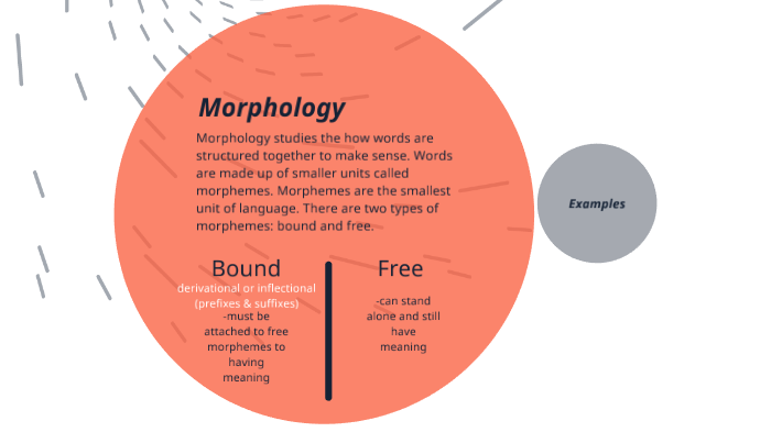 five-components-of-language-by-jada-ware-on-prezi