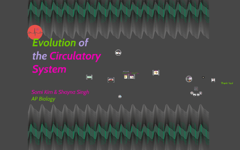 Evolution of the Circulatory System by Shayna Singh on Prezi Next