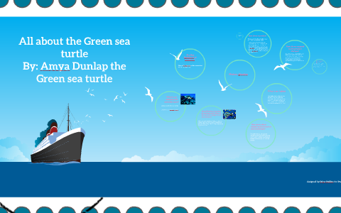All about the green sea turtle by Amya Dunlap on Prezi