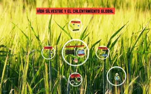 Vida silvestre y el calentamiento global by Eliana Palacios Márquez on ...