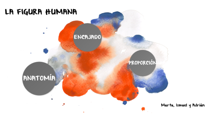 LA FIGURA HUMANA by Marta Gozalbo Trujillo on Prezi