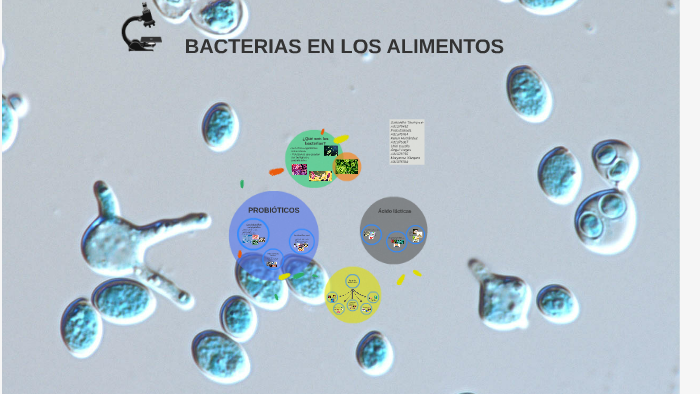 Bacterias En Los Alimentos By Samantha Salas On Prezi