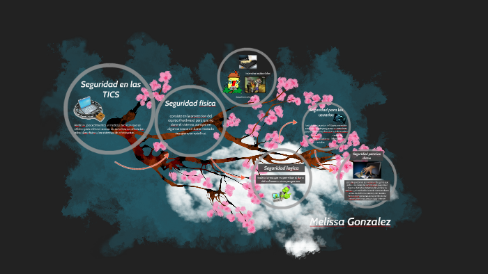 Seguridad en las TICS by melissa gonzalez on Prezi