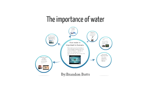 The importance of water by Brandon Butts on Prezi