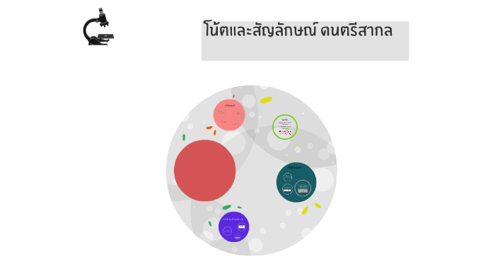 โน ตและส ญล กษณ ดนตร สากล By Wilasinee Klayprayong On Prezi Next