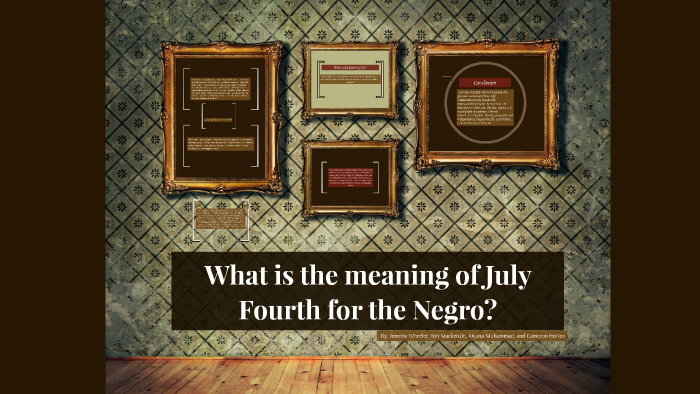 what is the meaning of july fourth for the negro about
