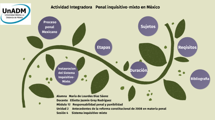 Proceso penal inquisitivo-mixto en México by Maria de Lourdes Diaz