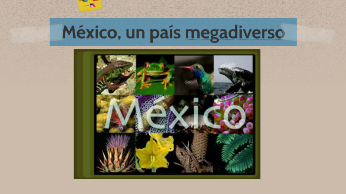 México, un pais mega diverso. by abril cuevas